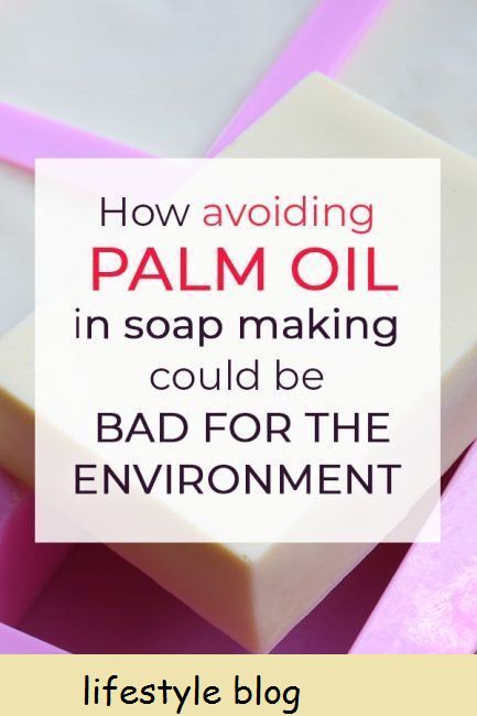 Sabonete sem palma? Como evitar o óleo de palma na fabricação de sabão pode AUMENTAR o desmatamento