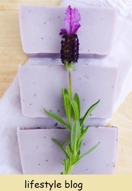 Papawersaad en laventel seep resep