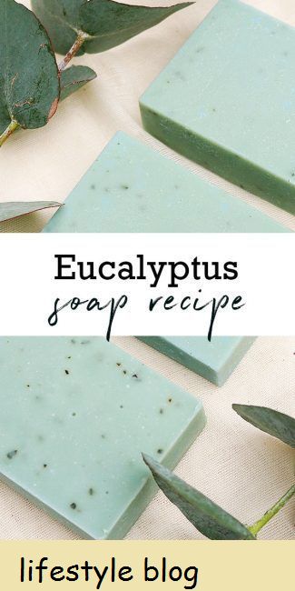 DIY utasítások az eukaliptusz szappan recept elkészítéséhez. Az eukaliptusz illóolaj megnyitja a légutakat, így ez egy nagyszerű szappan a hideg és az influenza szezonjához #szappankészítés #szappanrecept #hideg hideg