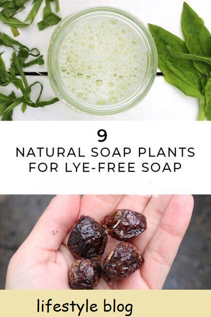 9 sabonetes naturais para fazer sabonete sem soda cáustica