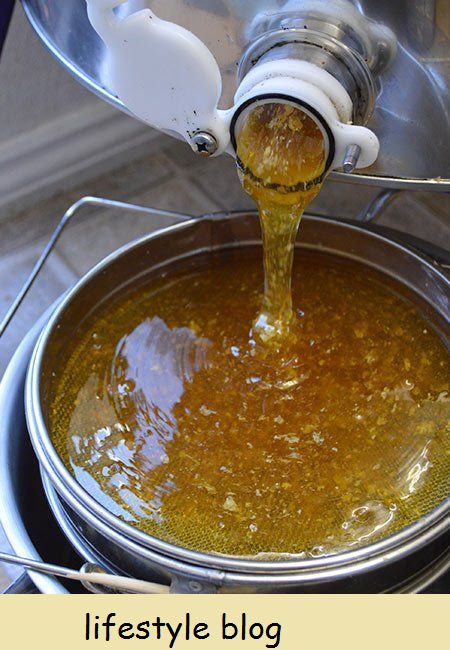 Como extrair o mel do favo: um apicultor de pequena escala compartilha o processo completo de tirar o mel das colmeias e extraí-lo em potes #beekeeping #homesteading #foodinjars #preserving