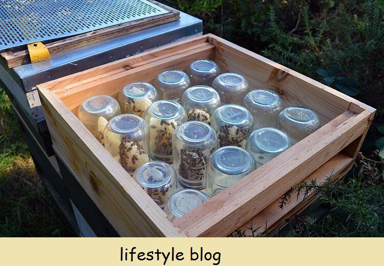 Come incoraggiare le api a costruire il nido d'ape all'interno di barattoli di vetro. Via Lovely Greens