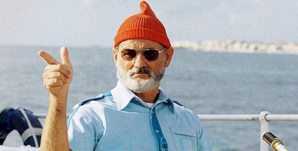 Van Sofia Coppola tot Wes Anderson: Bill Murray se 15 beste rolprentvertonings