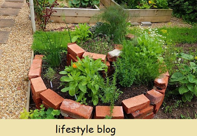 Cultive um jardim de ervas ao ar livre nesta espiral de ervas DIY