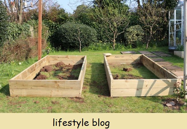 Hogyan építsünk emelt kerti ágyat, beleértve a legjobb méreteket, fafajtákat, és hogy mivel töltsük fel őket a zöldségek termesztéséhez #kertészeti tippek #kert