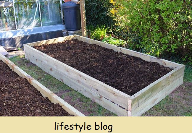 Kā izveidot paceltu dārza gultu, tostarp norādījumus par labākajiem izmēriem, koksnes veidiem un ar ko tos aizpildīt, lai audzētu dārzeņus #dārzkopības padomi