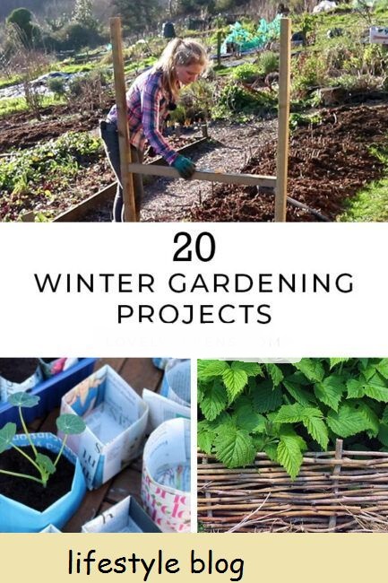 20 projetos de horta de inverno para a horta, incluindo as primeiras sementes a semear, forçando o ruibarbo, projetos de jardim reciclado, poda e muito mais #gardeningtips #vegetablegarden #diygarden