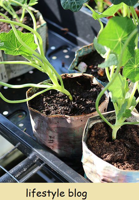 Duas maneiras de fazer vasos de plantas de jornal. Um método fornece vasos redondos em menos de 30 segundos e o outro faz vasos de origami quadrados. Use para plantar sementes ou plantar pequenas plantas. Vídeo instrutivo completo incluído #lovelygreens #diygarden #gardeningtips