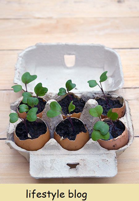 12 ideias de horta DIY voltadas para dar a você uma atividade de jardinagem criativa para todos os meses do ano. Se você