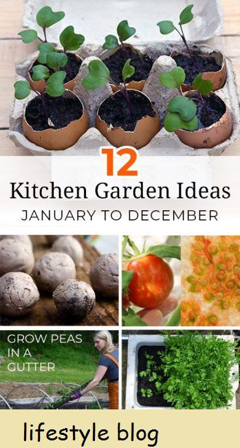 12 ideias de horta DIY voltadas para dar a você uma atividade de jardinagem criativa para todos os meses do ano. Se você