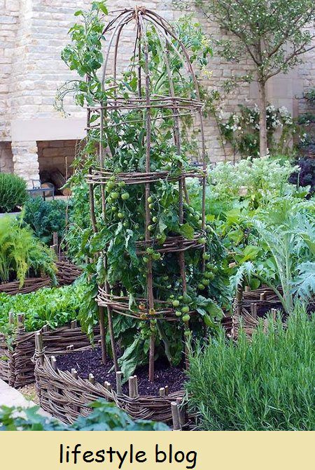 Mais de 30 projetos de jardim usando varas e galhos. Canteiros de jardim, orlas, marcadores de plantas, suportes de plantas, gaiolas de pássaros e muito mais #lovelygreens #diygarden #gardening