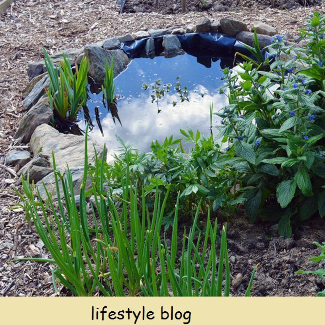 Como construir um pequeno lago para o jardim
