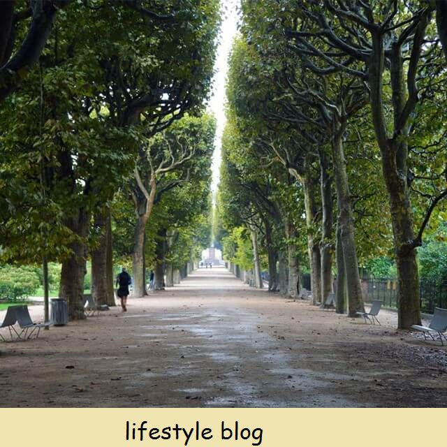 25 Inspirações de Jardinagem em Paris, França - ideias para plantio, usando árvores, plantas incomuns, arte de jardim e plantio para a vida selvagem. Aqui: 19. Árvores são arquitetura