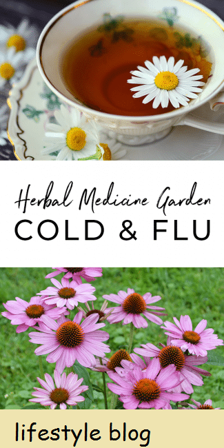 Quase 30 remédios de ervas para resfriados e gripes. Inclui informações sobre como eles são usados ​​e dicas para adicioná-los ao seu jardim de ervas medicinais #herbalism #coldremedy #herbalmedicine