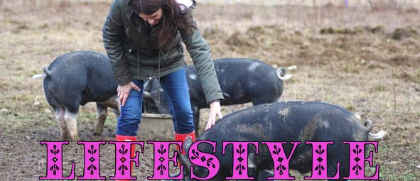 8 ting å vite om oppdrett av griser