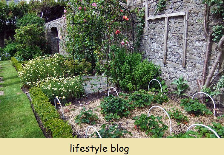 Jardim murado - The Port St Mary Allotment e Hidden Gardens of Castletown