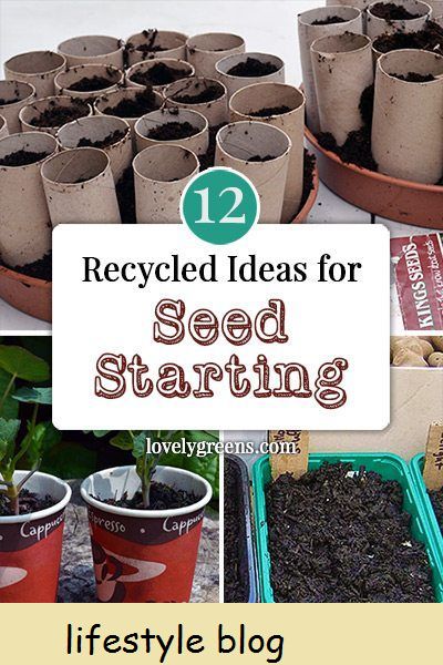 12 Kierrätettyä ideaa siementen aloittamiseen: Ideoita siementen aloittamiseen kierrätysmateriaaleista ja -säiliöistä, mukaan lukien wc -paperirullat, munankuoret ja kierrätetyt muovikellot. #rakkauslajit #puutarha #kasviviljelmä