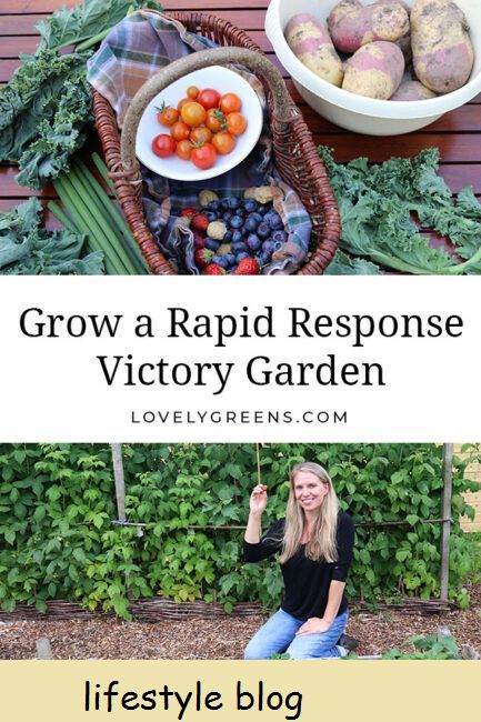 Cultive um jardim de vitória de resposta rápida