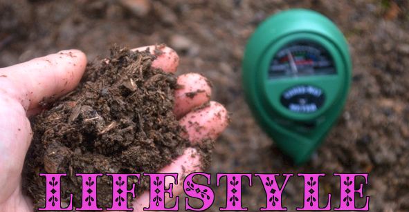 Il modo più semplice per testare il pH del suolo e correggerlo