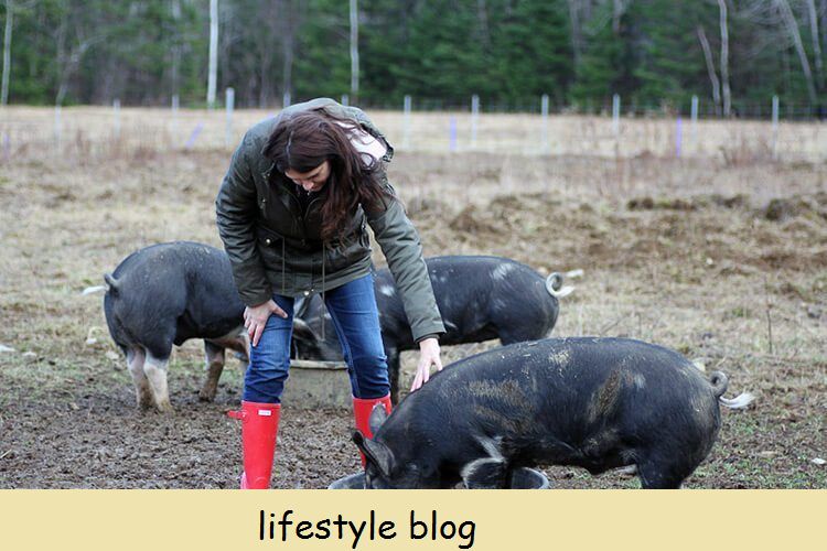 8 asiaa, jotka sinun on tiedettävä sikojen kasvattamisesta