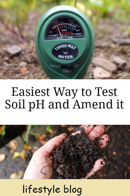 Como testar o pH do solo do seu jardim, por que