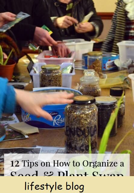 12 dicas para organizar uma troca de sementes - um evento onde os jardineiros compartilham sementes e plantas gratuitamente.