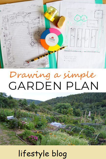 Kasvipuutarhasuunnittelu: Kuinka piirtää yksinkertainen puutarhasuunnitelma