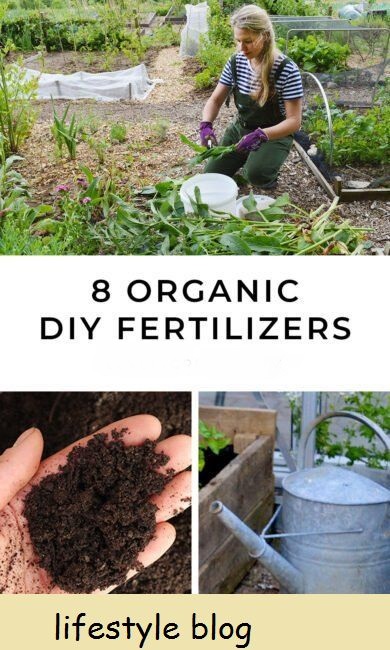 Fertilizantes orgânicos faça você mesmo para a horta