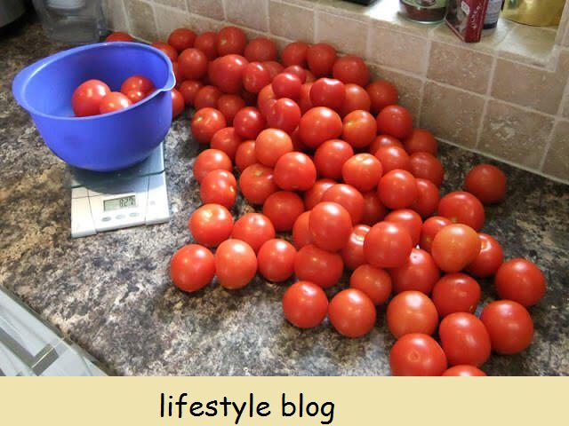 Tomaattien kasvatus siemenestä: kylvöajat, kompostit ja ohjeet. Ensimmäinen osa tomaattien kasvattamisesta siemenistä. Kattaa, mistä saa perintökaluston siemeniä, kuinka kylvää ne, kastelu ja lämpötilat, ja paras komposti käytettäväksi. Sisältää kaksi opetusvideota #lovelygreens #kasviviljelmä #orgaaninen puutarhanhoito