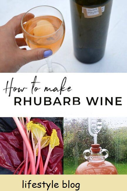 Use ruibarbo fresco da primavera e alguns outros ingredientes para fazer esta receita de vinho de ruibarbo. Inclui dicas sobre equipamentos e todo o processo de vinificação #rhubarb #rhubarbrecipe #winemaking #kitchengarden