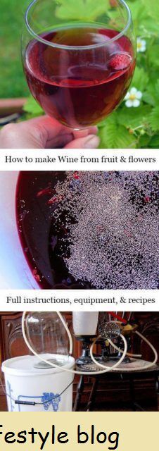 Como fazer vinho caseiro caseiro com bagas, flores e frutas # lindelygreens #winemaking #brewing