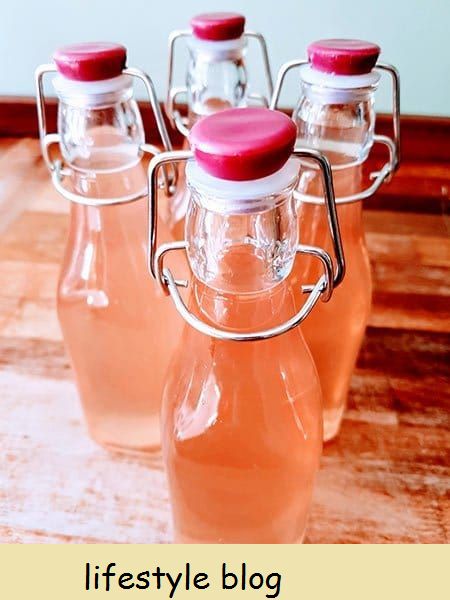 Como fazer gim de ruibarbo rosa caseiro com apenas três ingredientes simples. Também inclui dicas de especialistas sobre como cultivar suas próprias plantas de ruibarbo em casa #rhubarbrecipe #ginrecipe #gincocktail #infusedgin