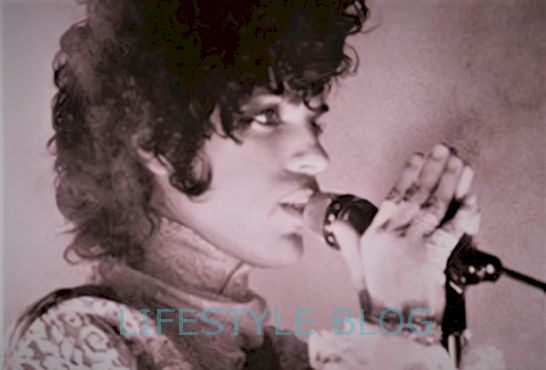 Husker Nile Rodgers' gripende ord om Prince og David Bowie