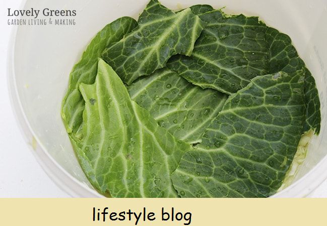 Receita fácil de chucrute usando o método Bucket e Brick #lovelygreens #fermenting #preserving #cabbage #cabbagerecipe #sauerkraut #vegetarian